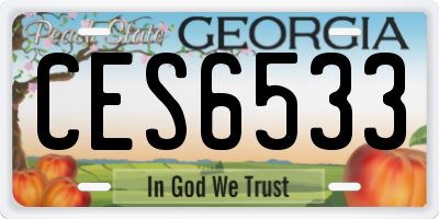 GA license plate CES6533