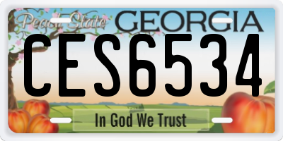 GA license plate CES6534