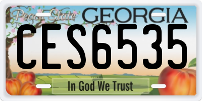 GA license plate CES6535