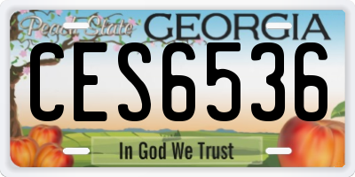GA license plate CES6536