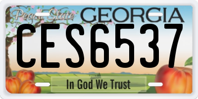 GA license plate CES6537