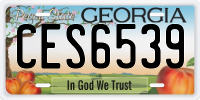 GA license plate CES6539