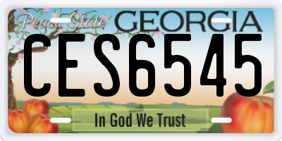 GA license plate CES6545