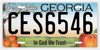 GA license plate CES6546