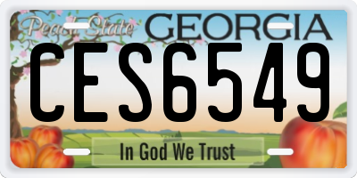 GA license plate CES6549