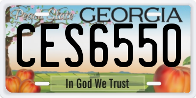 GA license plate CES6550