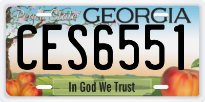 GA license plate CES6551