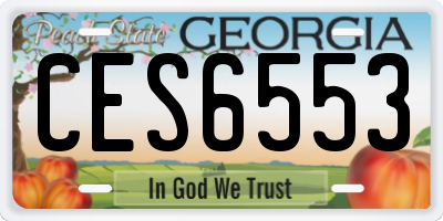 GA license plate CES6553