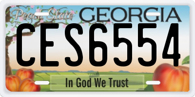 GA license plate CES6554
