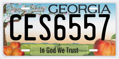 GA license plate CES6557