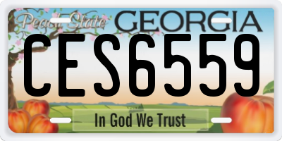 GA license plate CES6559