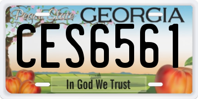 GA license plate CES6561