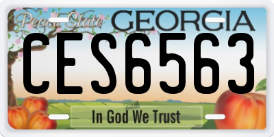 GA license plate CES6563