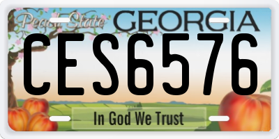 GA license plate CES6576