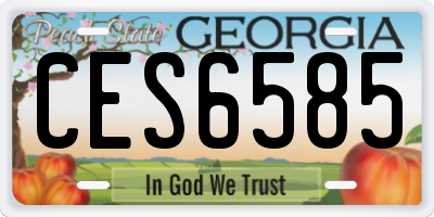 GA license plate CES6585