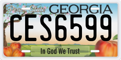 GA license plate CES6599