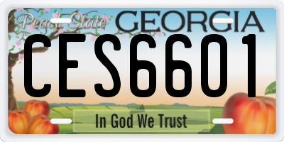 GA license plate CES6601