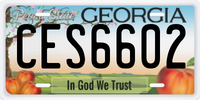 GA license plate CES6602