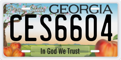 GA license plate CES6604