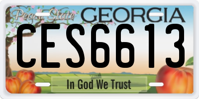 GA license plate CES6613