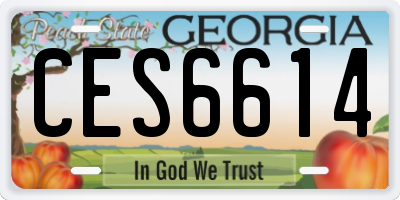 GA license plate CES6614