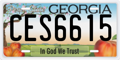 GA license plate CES6615
