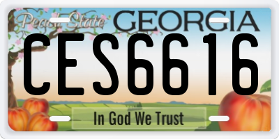 GA license plate CES6616