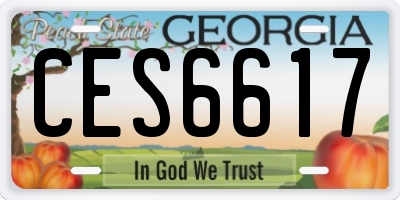 GA license plate CES6617