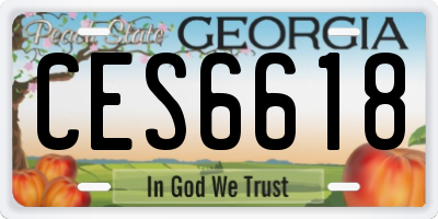GA license plate CES6618