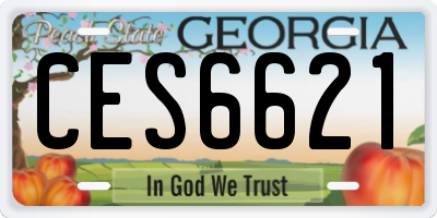 GA license plate CES6621