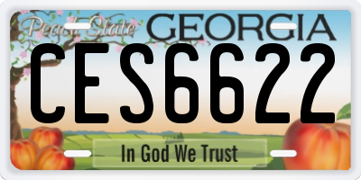GA license plate CES6622