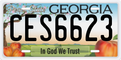 GA license plate CES6623