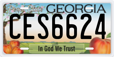GA license plate CES6624