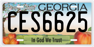 GA license plate CES6625