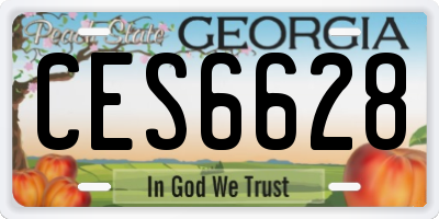 GA license plate CES6628