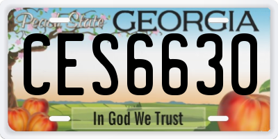 GA license plate CES6630