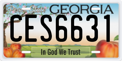 GA license plate CES6631