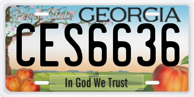 GA license plate CES6636