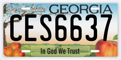 GA license plate CES6637