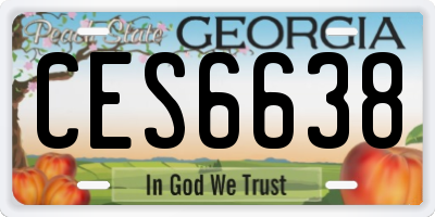 GA license plate CES6638