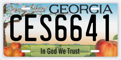 GA license plate CES6641