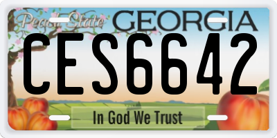 GA license plate CES6642