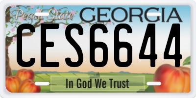 GA license plate CES6644