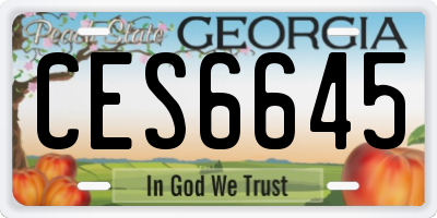 GA license plate CES6645