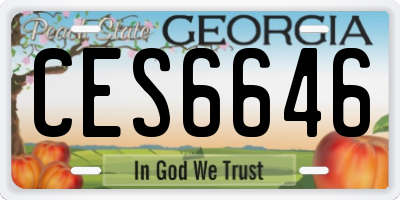 GA license plate CES6646
