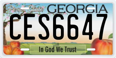 GA license plate CES6647