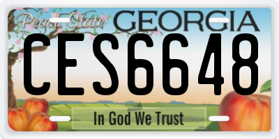 GA license plate CES6648