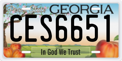 GA license plate CES6651