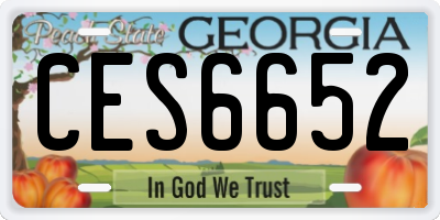 GA license plate CES6652