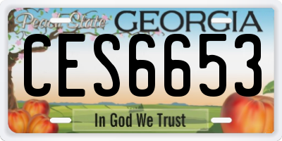 GA license plate CES6653